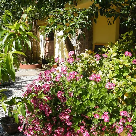 Villaggio Tabu 3* パリヌロ